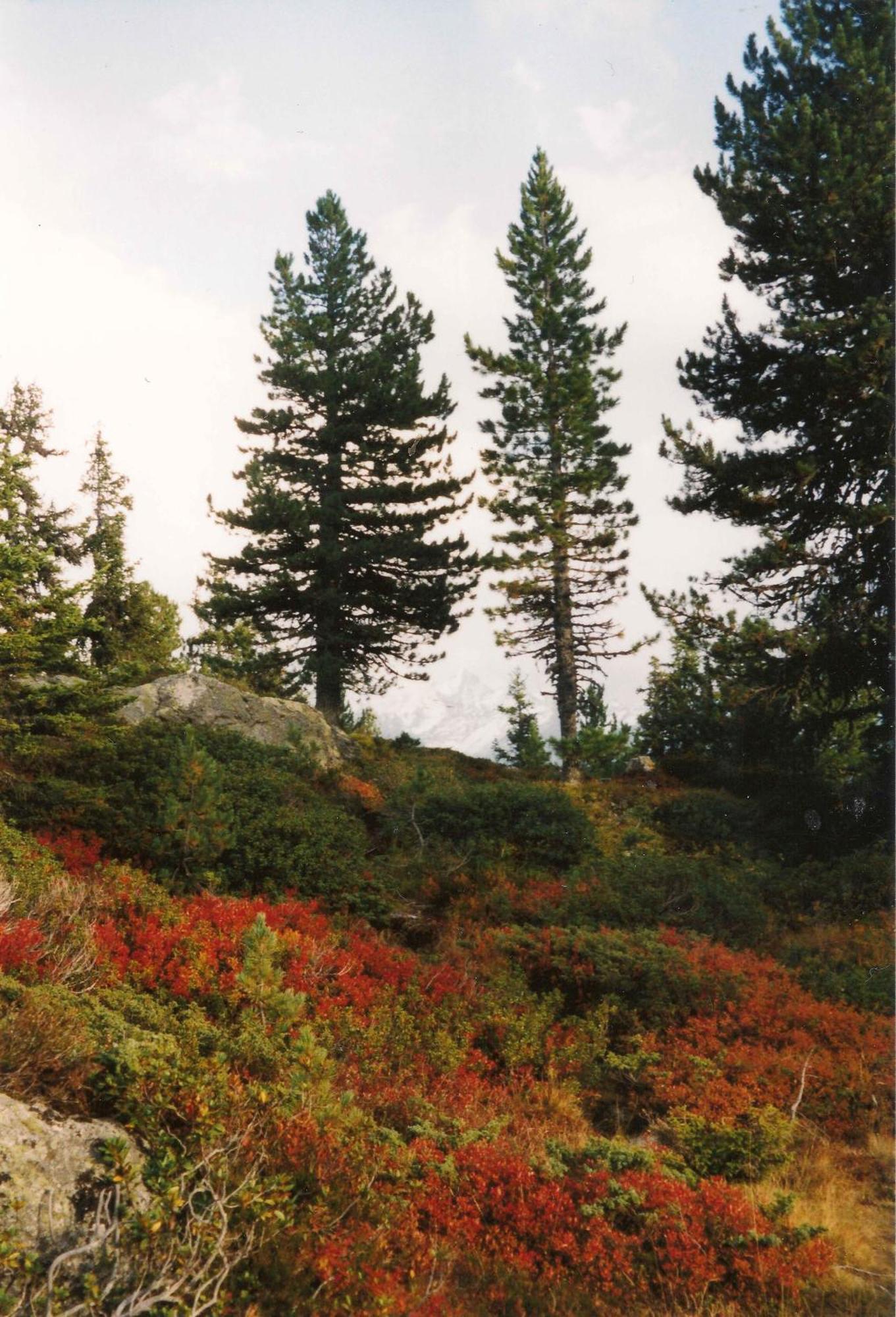 Apart Panoramablick Kaunerberg Luaran gambar